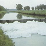 Water pollution