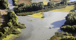 A Tisza-tó