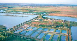 Bassins à poissons