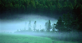 Lever de soleil dans la brume