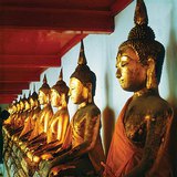 Boedhhastandbeelden in de Marmeren Tempel (Bangkok, Thailand)