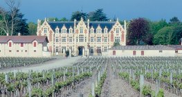 Weinberge in Bordeaux, der Heimat der berühmtesten französischen Rotweine