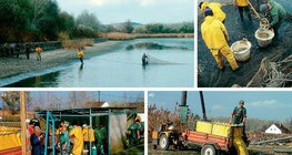 Travail autour d'un bassin à carpes