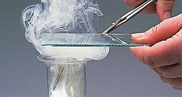 Reaktion von Magnesium mit Chlor