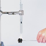 Examen de la densité énergétique d'une noix