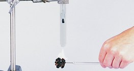 Untersuchung der Energiedichte einer Walnuss