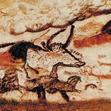 Aurochs et chevaux, peintures de la Grotte de Lascaux