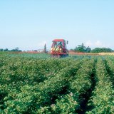 Vlaktes zijn de belangrijkste gebieden voor de agricultuur