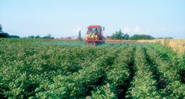 Les plaines sont les zones les plus importantes pour l'agriculture