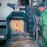 Verbranden van suikerriet