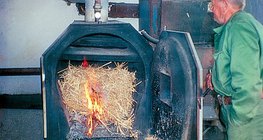 Combustion de canne
