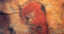 Peinture d'un bison dans la Grotte d'Altamira en Espagne (15000-10000 avant J.C.)