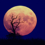 Pleine lune ascendante