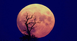 Pleine lune ascendante