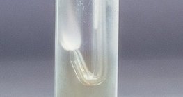 Wasserstoff 'brennt' auch in Chlorgas weiter