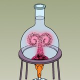 Demonstratie van convectie met behulp van gekleurd water