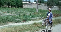 Halbwüstengebiet im Tiefland von Turan