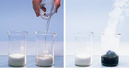 Réaction entre l'acide sulfurique et le sucre