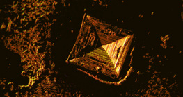 Cristaux de sel de table