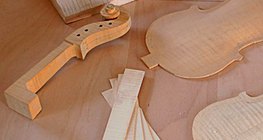 Fabrication de violon - phase 1