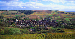 Ein liebliches Dorf in Frankreich, Irancy
