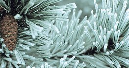 Givre