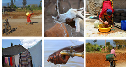 Sécheresse en Afrique