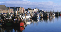Bateaux de pêche à Dublin
