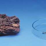 Wood rots slowly but burns faster