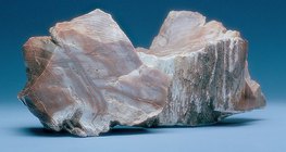 Holzopal