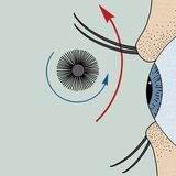 Comment mettre du mascara