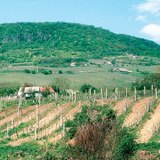 Ploegen parallel met de helling verhoogt de kans op bodemerosie