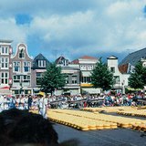 Käsemarkt in Alkmaar