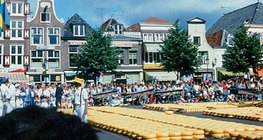 Käsemarkt in Alkmaar