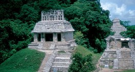Forêt tropicale humide avec ruines