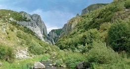 Gorge de turda
