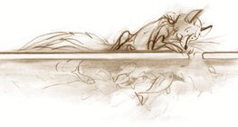 Wassertiere überleben im "wärmeren" Wasser unterhalb der Eisoberfläche, auch wenn es kalt ist