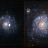 Une supernova et sa galaxie hôte