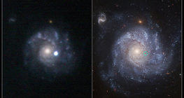Une supernova et sa galaxie hôte