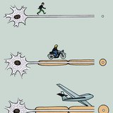 Doorgeven van impulsen