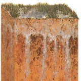 Profiel van een zoutbodem