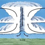 Tropical cyclone