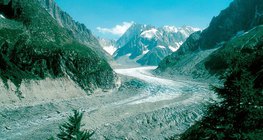 Glacier des Alpes