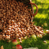 Een emmer met walnoten