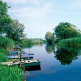 Riet reinigt het water dat van rivieren naar meren stroomt