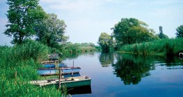 Das Schilfrohr gewährleistet die Sauberkeit des in die Seen strömenden Wassers