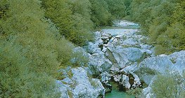 Vallée d'une rivière dans le Plateau de Karst