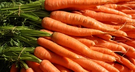 Carottes