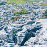 Couverture de calcaire