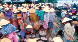 Fischmarkt in Vietnam